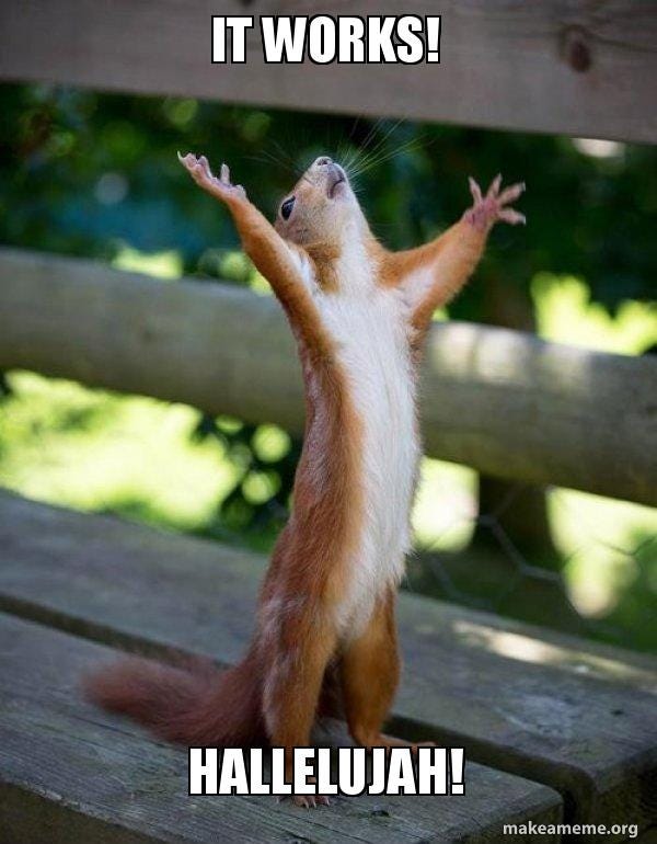 Meme: a squirrel cheering “It works! Hallelujah!”